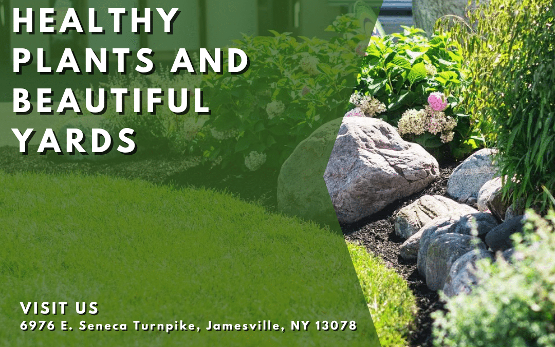 Mulch Like a Pro: Tips for Healthy Plants and Beautiful Yards