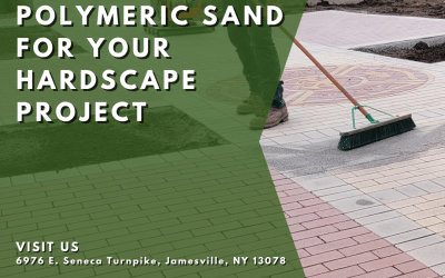 How to Choose the Right Polymeric Sand for Your Hardscape Project